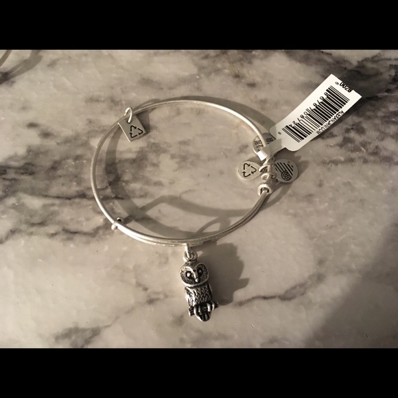 Alex and Ani Jewelry - Alex and ani owl bangle